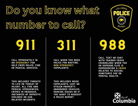 what us 311 telephone service.